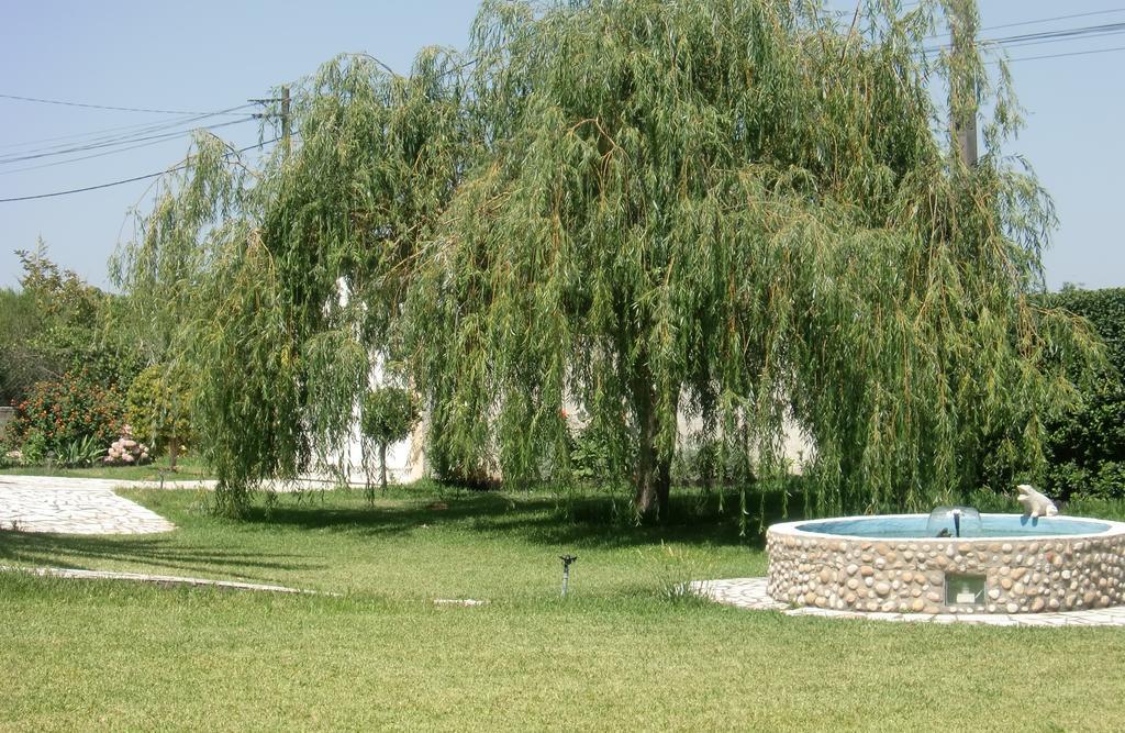 Quinta Da Harmonia Azeitao Exterior photo