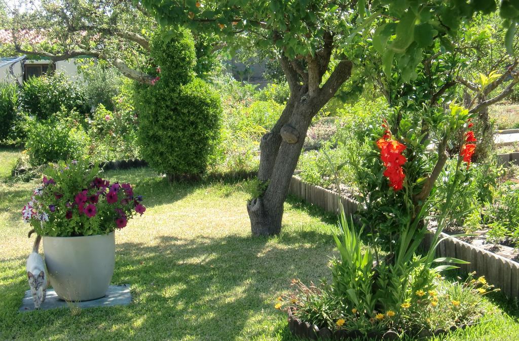Quinta Da Harmonia Azeitao Exterior photo